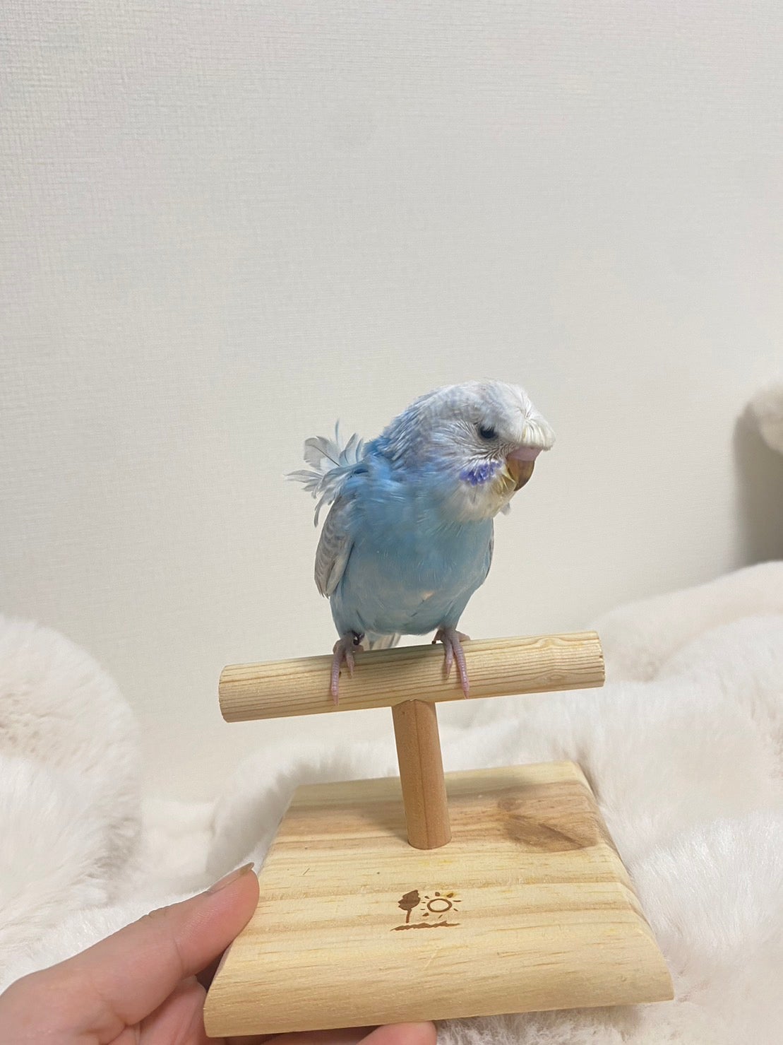 矢吹奈子のレコメン Twitter