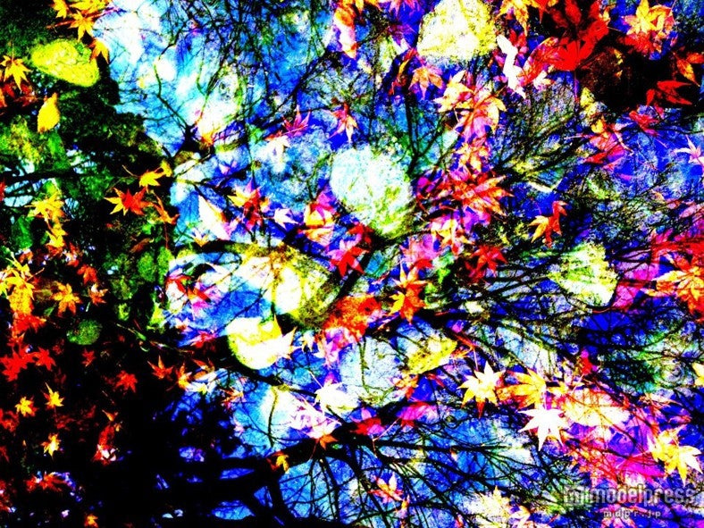 写真家・今井洋介のアートワーク