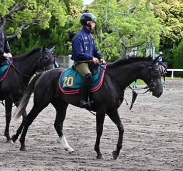 【新馬戦】フィリオソラーレ 併せ馬でレガレイラと互角の動き 太田助手が素質評価「走ることに真面目な元気な子」
