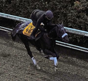 【阪神C】ナムラクレア 重馬場なんの！栗東坂路で軽快 長谷川師「何も問題はない」史上4頭目の連覇へ