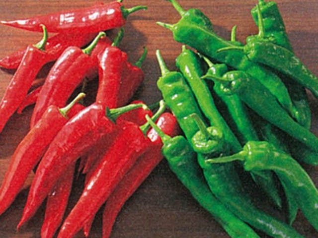 column_4dd6e0e7113aeae48780e1edf2eea00b.