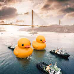 写真提供:AllRightsReserved