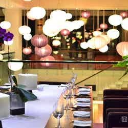 ランタンの輝きにうっとり/フュージョンマイア