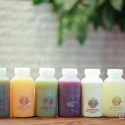 「サンシャインジュース」のコールドプレスジュース/画像提供:サンシャインジュース