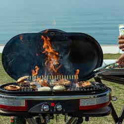 Frogs FARM PICNIC GARDEN/画像提供:バルニバービ