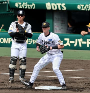 阪神 「5番・三塁」に新助っ人・ディベイニーを起用、捕手は育成の嶋村 今季初めて甲子園球場でオープン戦