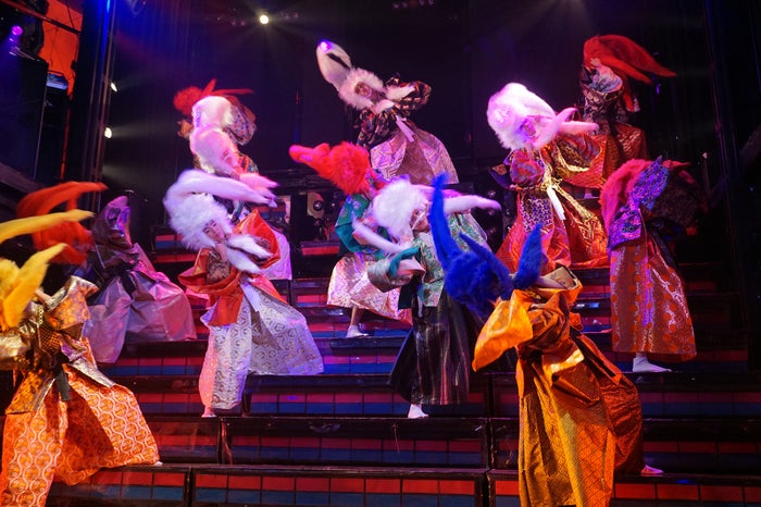 六本木金魚（画像提供：六本木金魚）