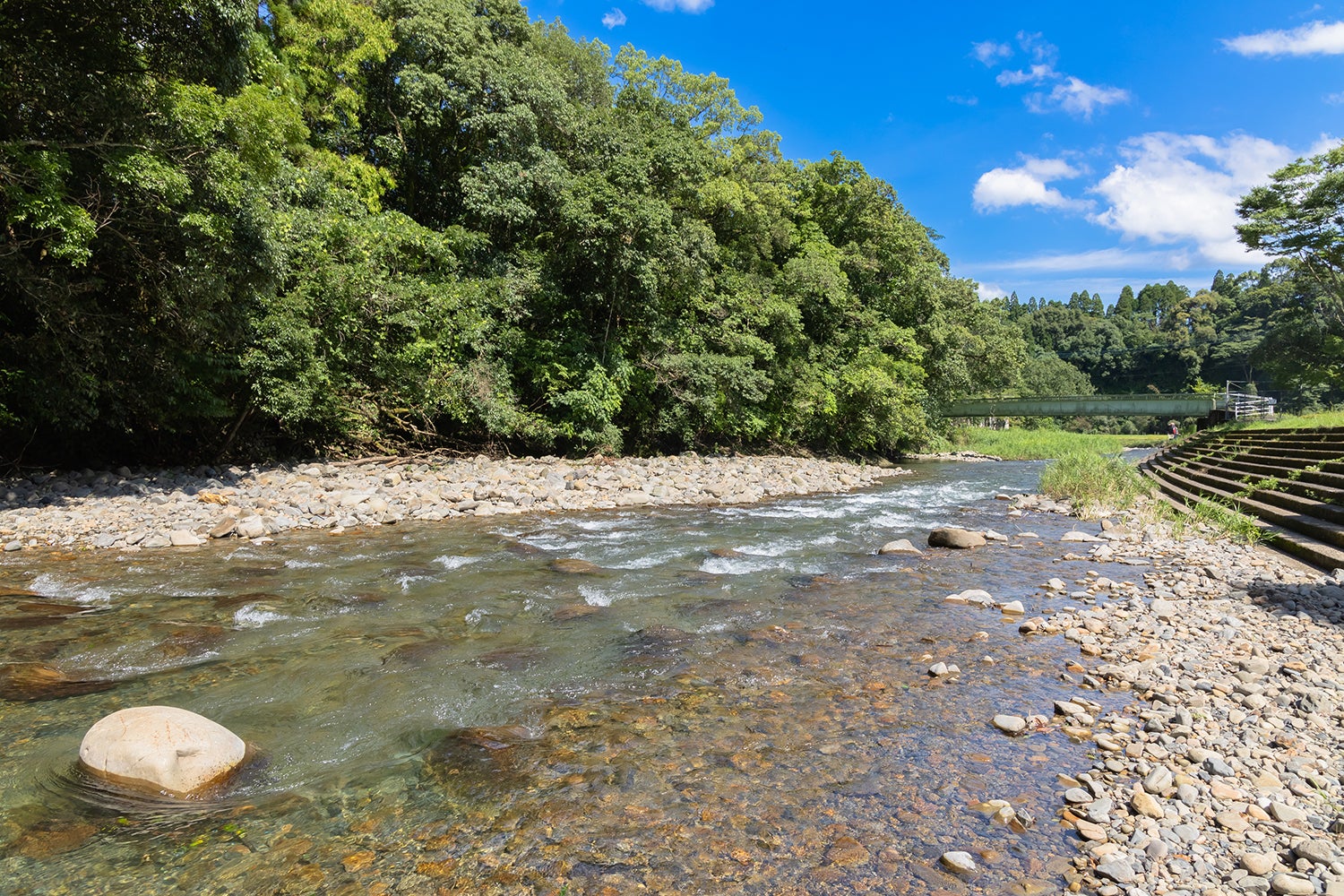 ほけだけグランピング～和泉の毬花～／提供画像