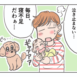 Lqoibsxw Odrfm