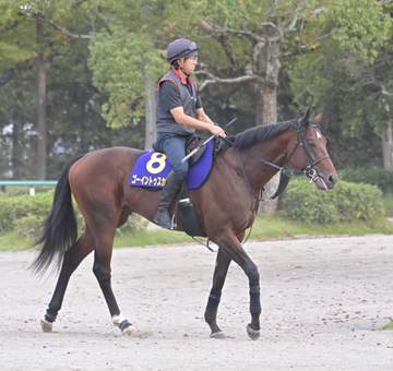 【菊花賞】ゴーイントゥスカイ 歴代最多タイ菊5勝の武豊とロブチェン3冠阻止だ 青葉賞V＆ダービー4着実績は上位 データ唯一減点1