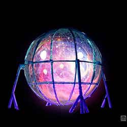 シースループラネット(イメージ)/画像提供:ネイキッド