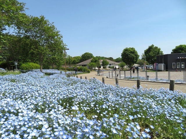 馬見丘陵公園