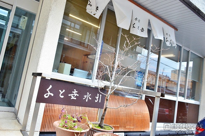 「千と世水引」／画像提供：千と世水引