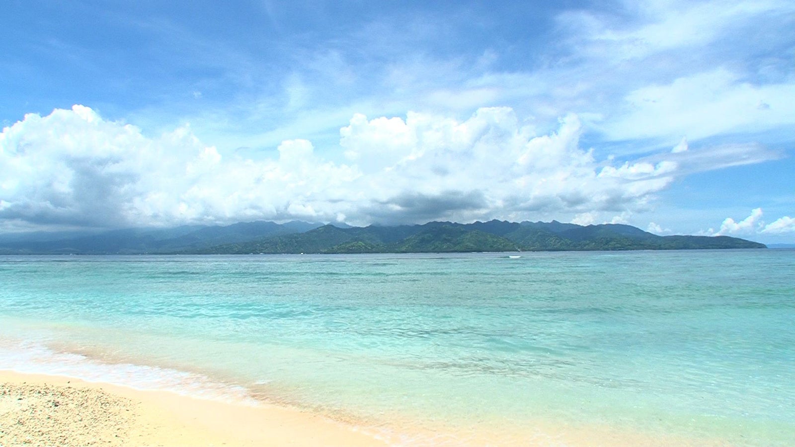 画像提供：毎日放送