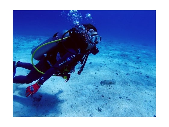 ダイビングショットを公開／鈴木あやオフィシャルブログ（Ameba）より