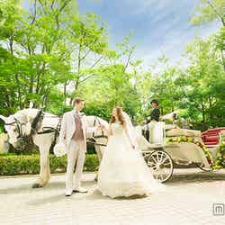 白馬による結婚式の演出