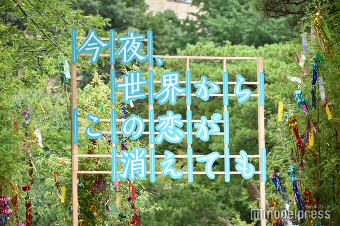 『今夜、世界からこの恋が消えても』七夕願いごとイベント(C)モデルプレス