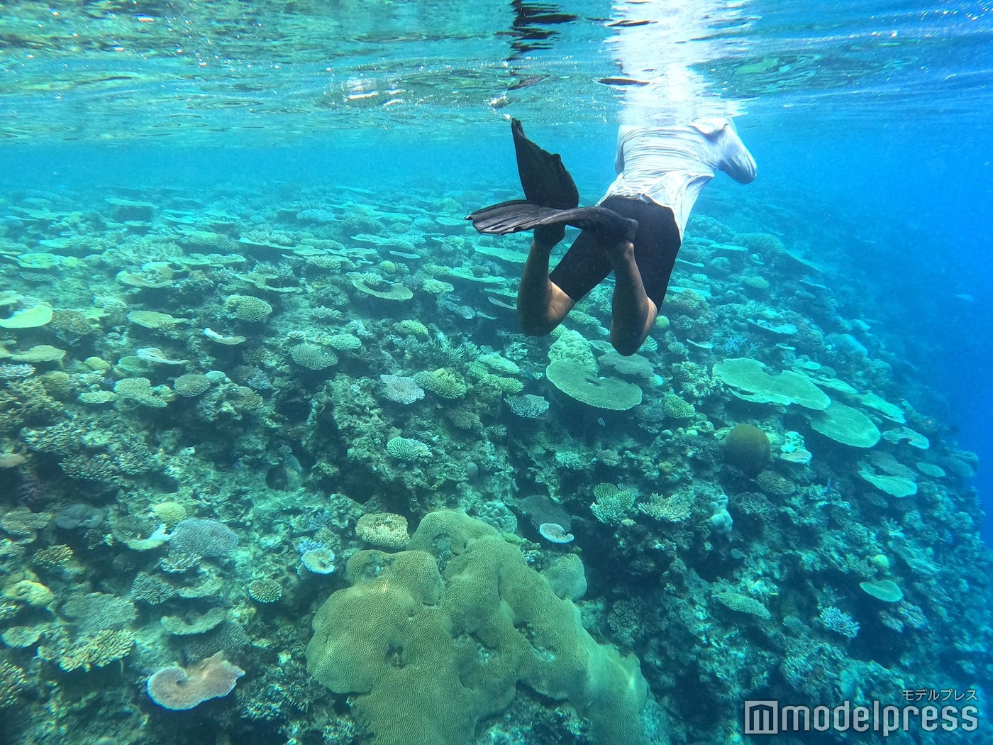 シックスセンシズ フィジー（C）モデルプレス