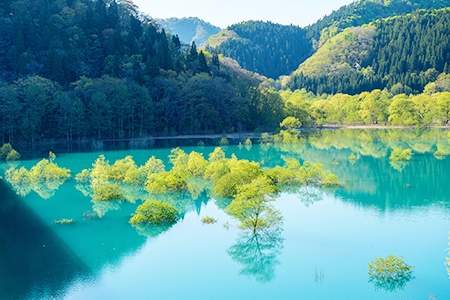 「秋田県」