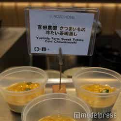 ノゾホテル(C)モデルプレス