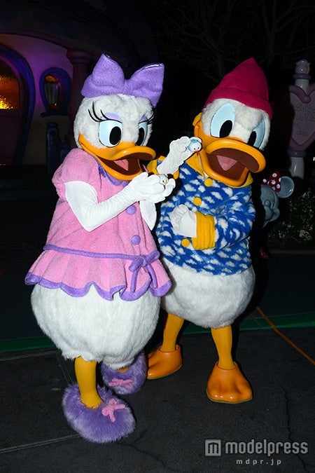 デイジーダック、ドナルドダック