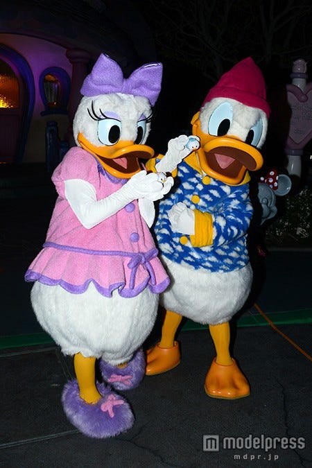 デイジーダック、ドナルドダック