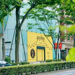 ハリー・ポッター ショップ 原宿/提供画像