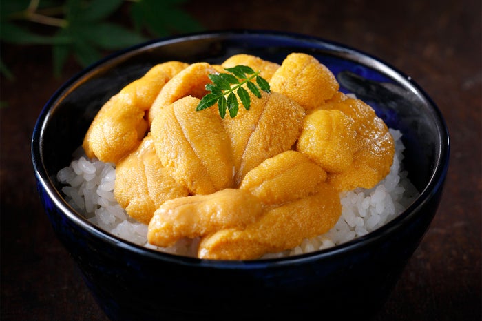 島の人 礼文島本店（生ウニ丼）／画像提供：ロッキング・オン・ジャパン