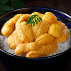 島の人 礼文島本店(生ウニ丼)/画像提供:ロッキング・オン・ジャパン