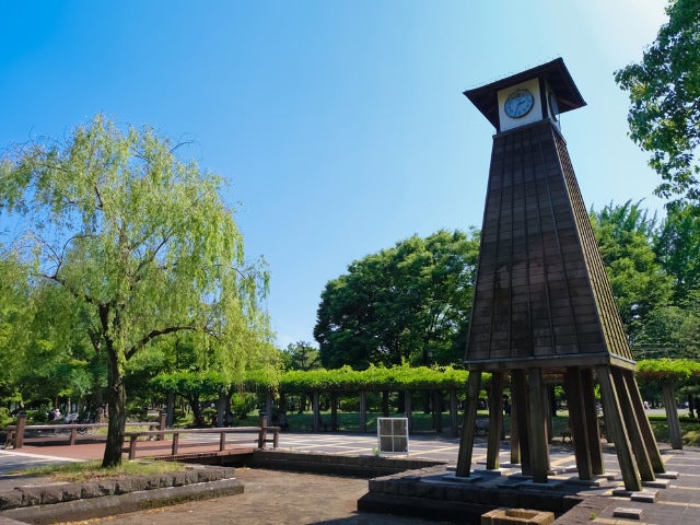 column_4e45af22e5b24dd15a03c271b234963d.