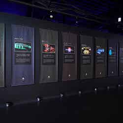 夏のアートアクアリウム~金魚で夏を感じる、涼~/画像提供:アートアクアリウム製作委員会