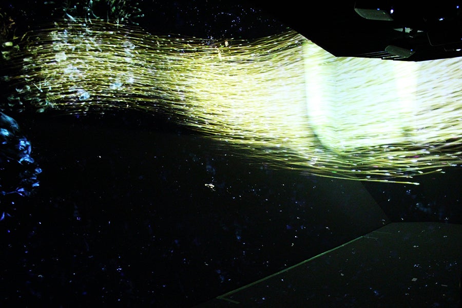 MORI Building DIGITAL ART MUSEUM: EPSON teamLab Borderless_Borderless World