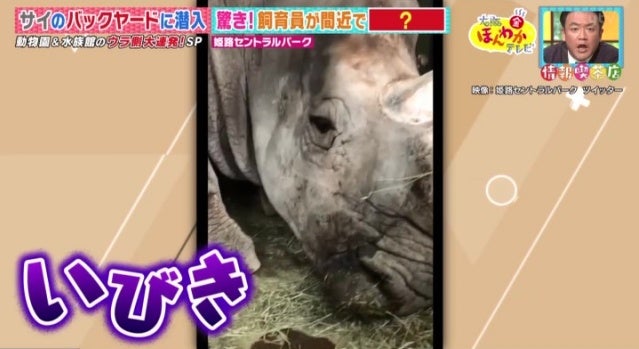 カワイイ姿がSNSで話題に…！人気の動物園・水族館のウラ側