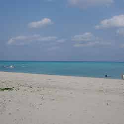 百合ケ浜/photo by tsuda