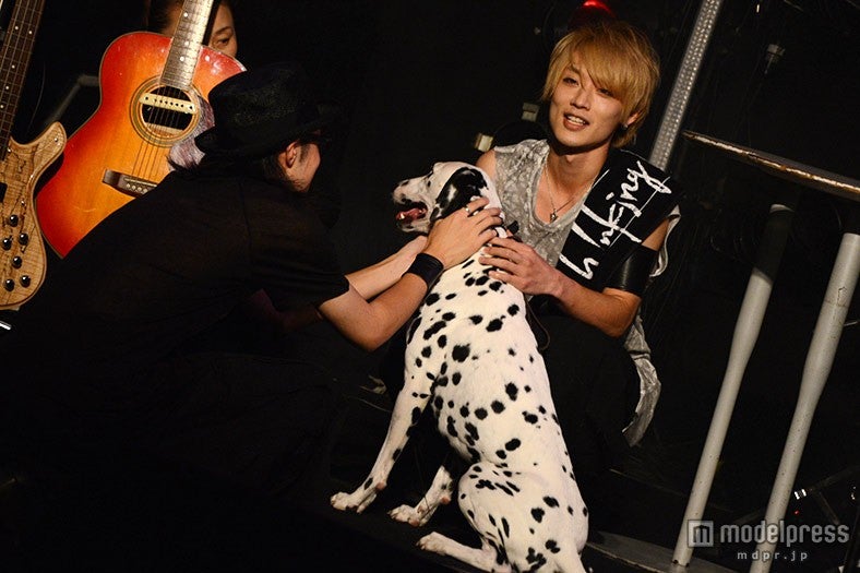 ダルメシアンの“しゅうくん”がステージに登場