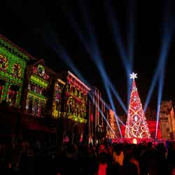 クリスマス・ツリー/提供画像:ユー・エス・ジェイ