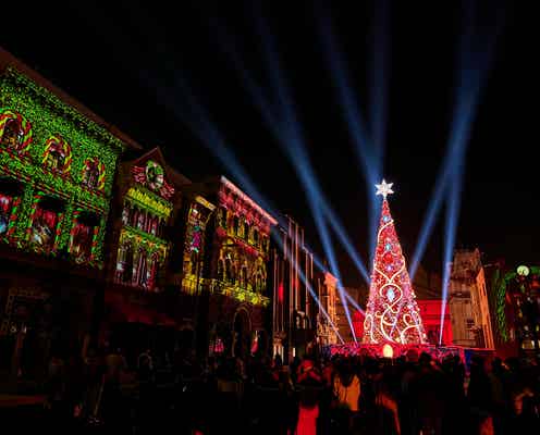 USJ、3年ぶり“ギネス認定”クリスマスツリー復活!“世界最高”の輝きに「言葉にならないくらい感動」