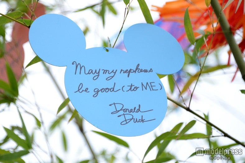 ドナルドの短冊