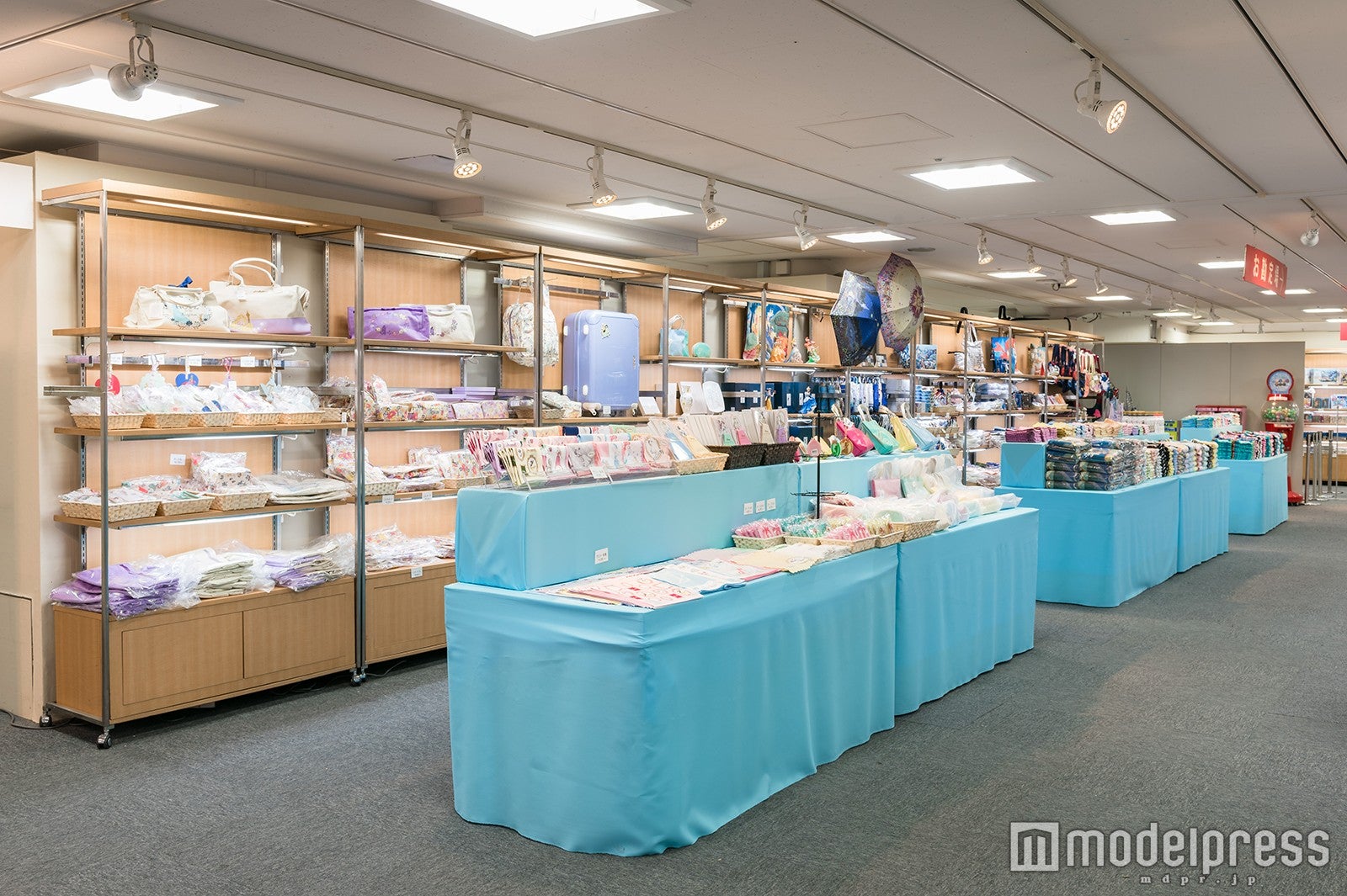 POWER OF PRINCESS「ディズニープリンセスとアナと雪の女王展」より（C）Disney