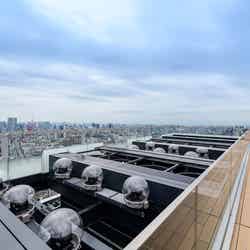 SHIBUYA SKY/画像提供:渋谷スクランブルスクエア