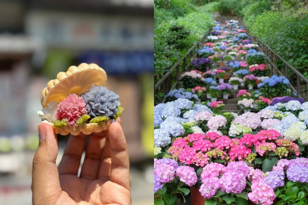 【奈良】長谷寺のあじさい＆門前町グルメ巡り！ 初夏のおすすめ日帰りさんぽ