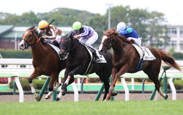 【新馬戦】アゴルディーノ 直線鋭伸デビュー星 横山和「信頼関係があったので色んな競馬ができると思っていた」