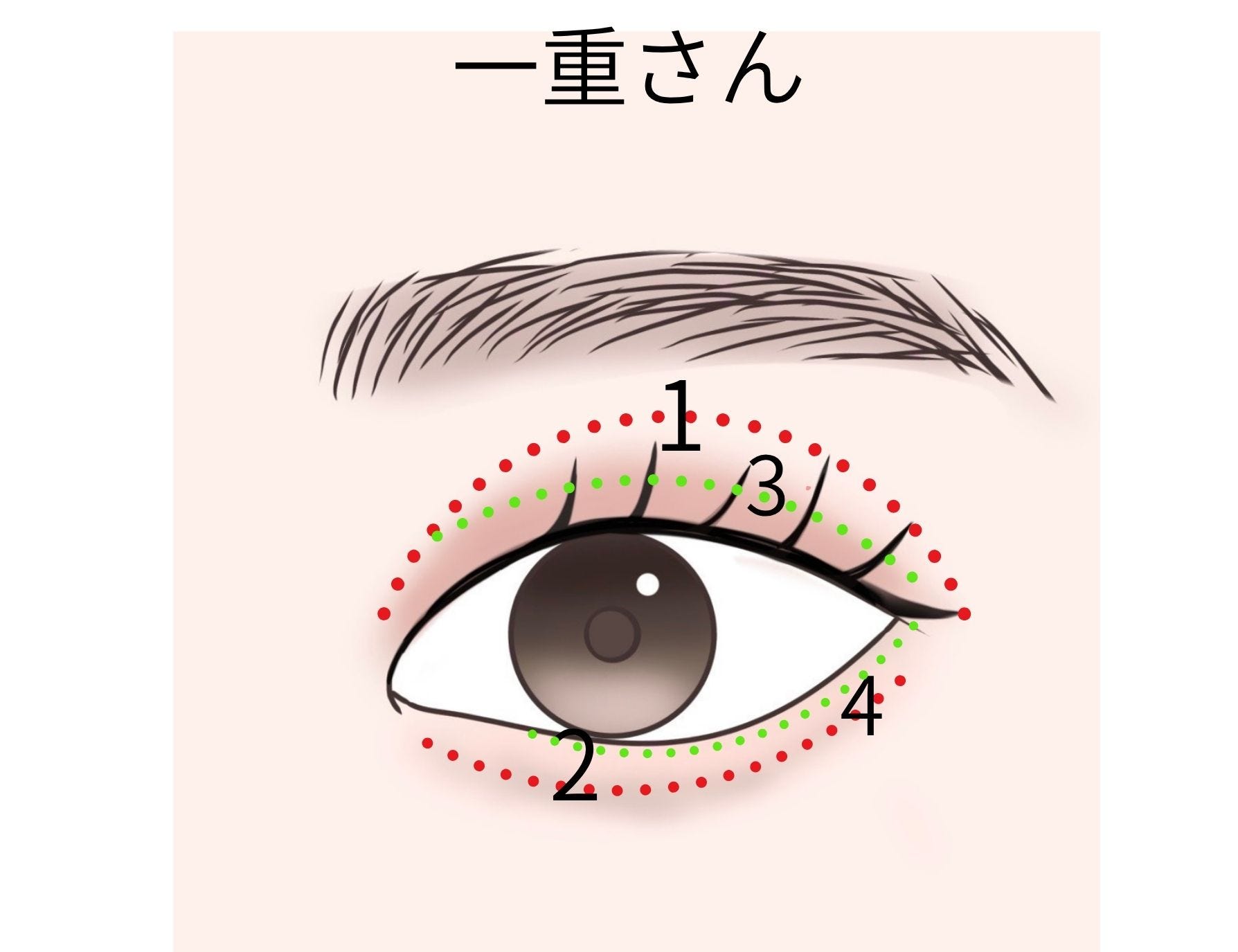 一重さんの2色グラデーションアイシャドウを塗る位置を示した図解