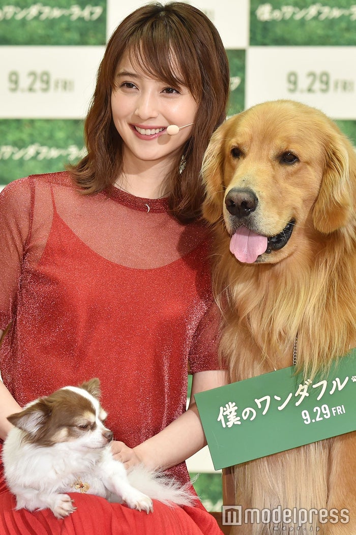 佐々木希 運命の出会いを語る 愛犬 マロン と登場 僕のワンダフル ライフ モデルプレス