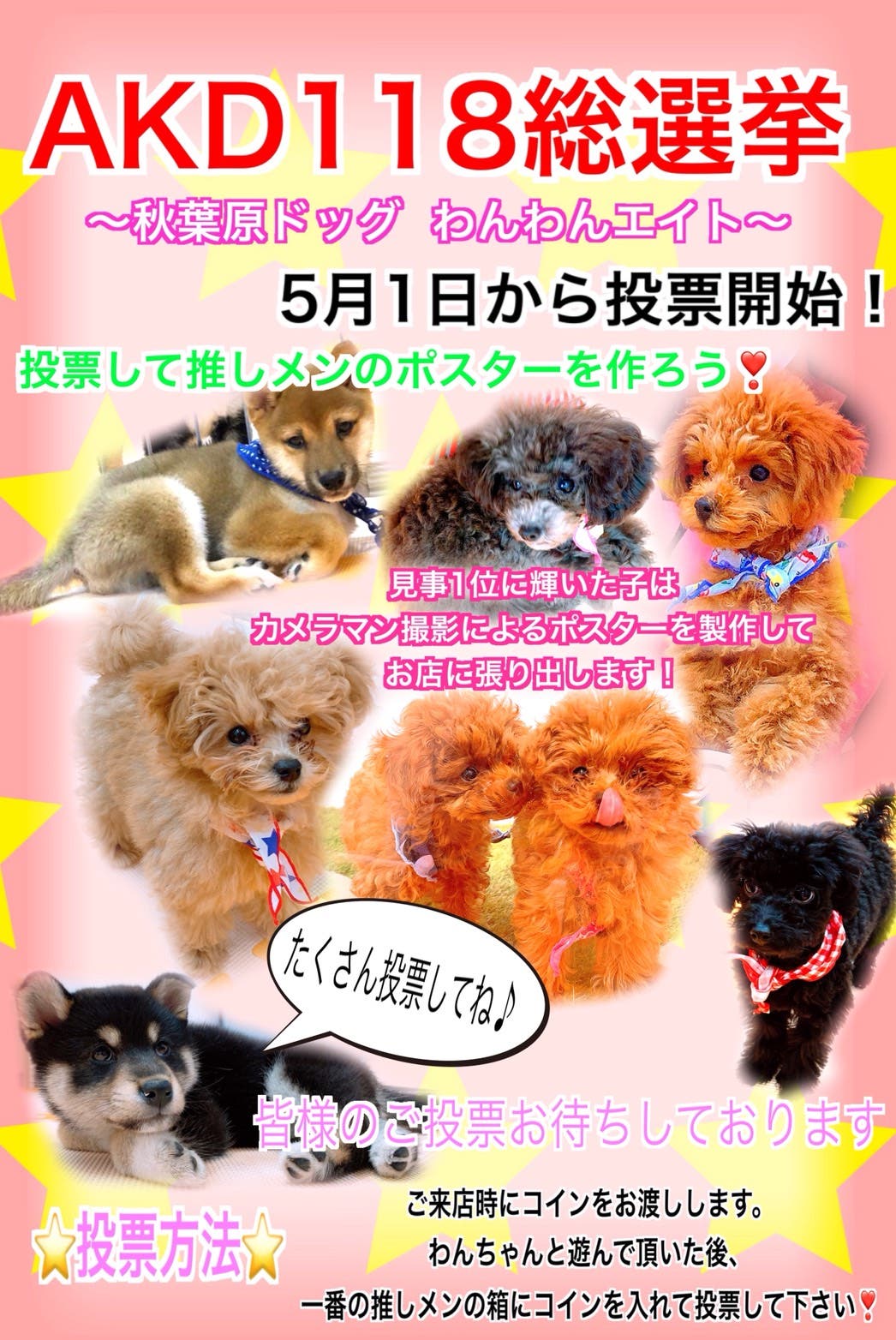 推しのわんちゃんに投票