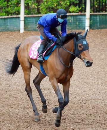 【フローラS】ペンダント 未知の魅力で樫切符狙う 芝再挑戦、池江師「ここにきて体がしっかりしてきた」
