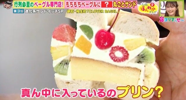 進化系サンドイッチベスト5