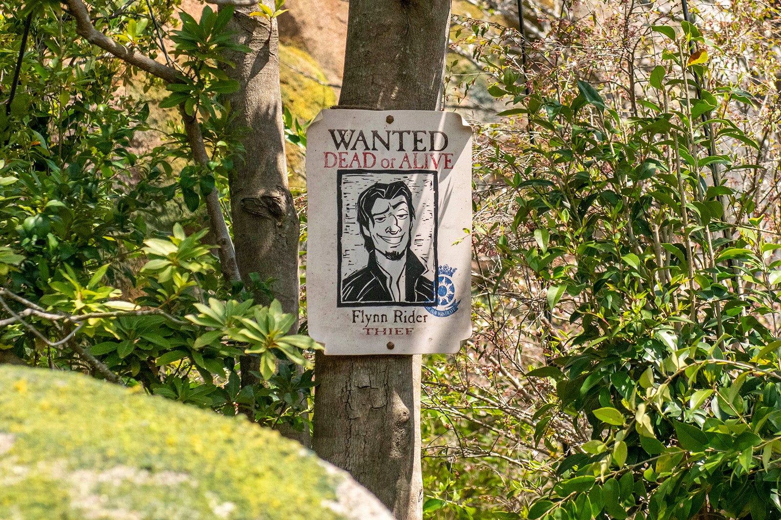 ラプンツェルのランタンフェスティバル（C）Disney