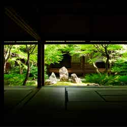 「そうだ 京都、行こう。」2022年夏の舞台は「建仁寺」美しい禅庭で“京都ならではの涼”を感じる