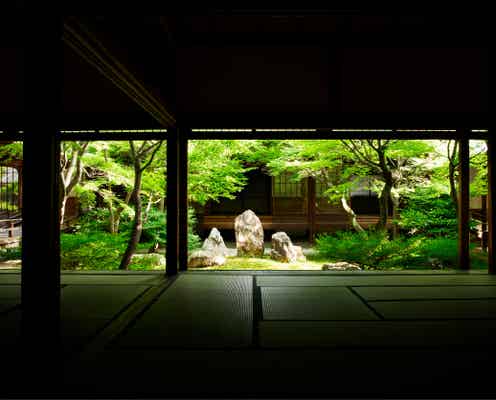 「そうだ 京都、行こう。」2022年夏の舞台は「建仁寺」美しい禅庭で“京都ならではの涼”を感じる